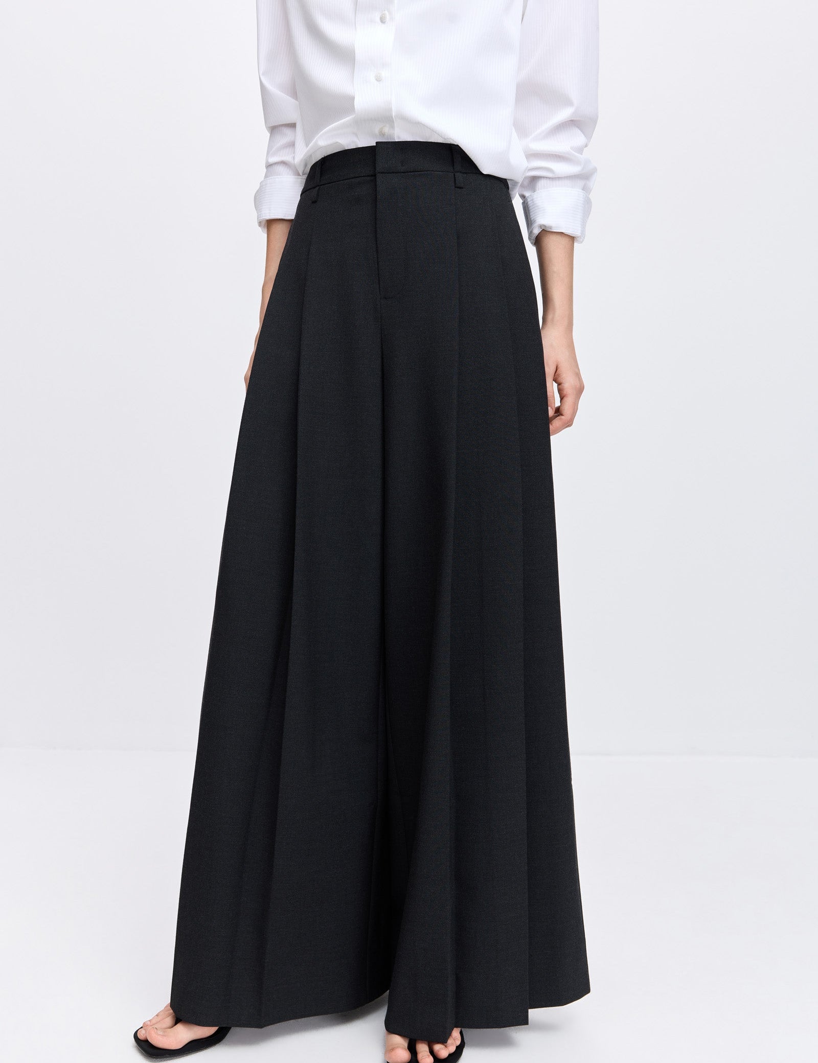#color_Dark Charcoal Gray